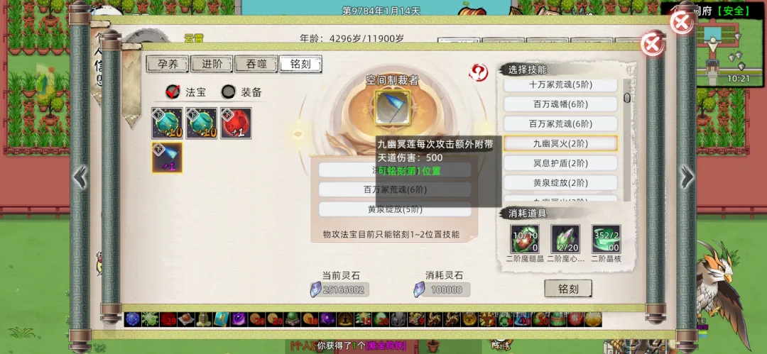 17.webp